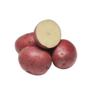 Red La Soda Seed Potato
