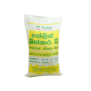 Seed Paddy
