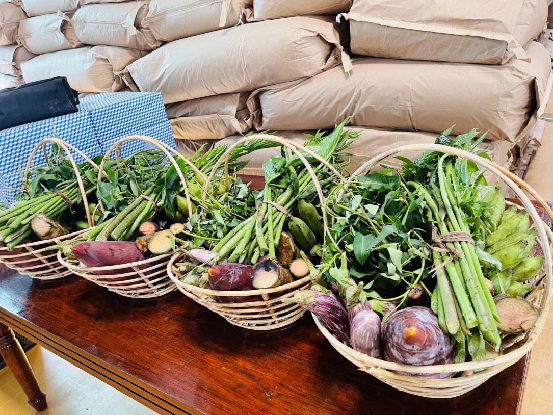 Eco-Friendly Farming at CocoLife Pannala factory