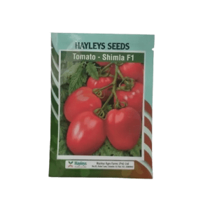 Tomato seeds