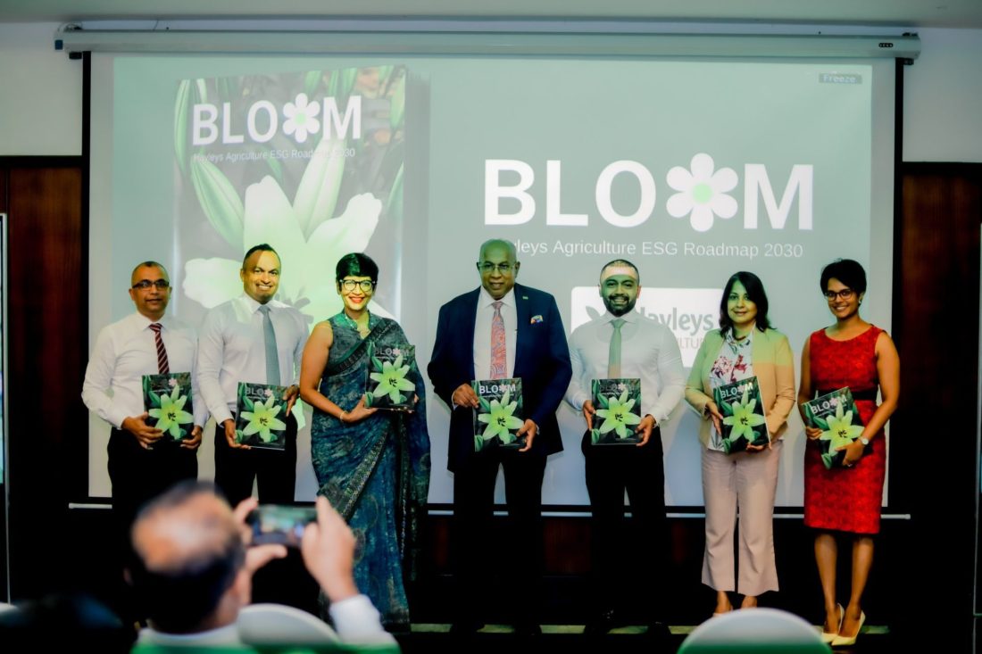 555953250_1118841867052452_4166947206730553166_n